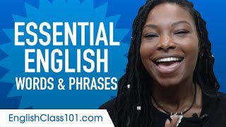 Essential English Words and Phrases to Sound Like a Native