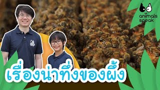 เรื่องน่าทึ่งของผึ้ง | Animals Speak