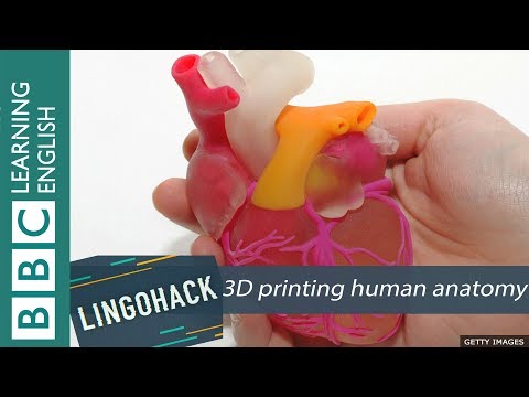 3D printing human anatomy: Lingohack