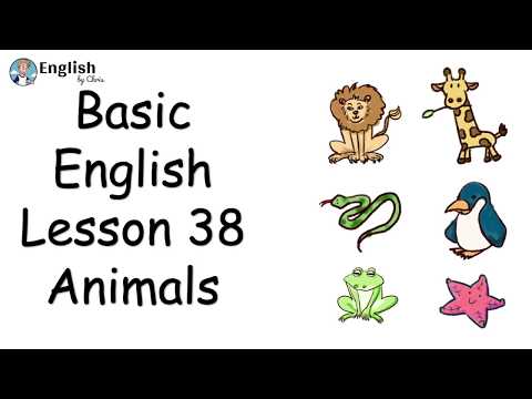 ผู้เริ่มต้น English - Lesson 38 - Animals