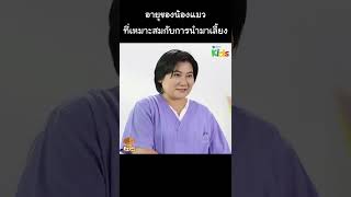 อายุของน้องแมว ที่เหมาะสมกับการนำมาเลี้ยง #Shorts