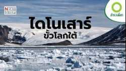 ความลับไดโนเสาร์จากออสเตรเลียถึงแอนตาร์กติกา | สารคดี สำรวจโลก