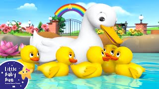 Five Little Ducks! | Little Baby Bum - New Nursery Rhymes for Kids