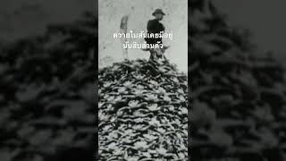 ดูสารคดีเต็ม กด Created from @nextstepwave #สำรวจโลก #doxzilla #สารคดี