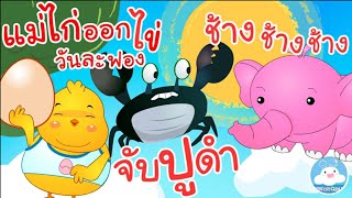 เพลงแม่ไก่ออกไข่วันละฟอง เพลงจับปูดำ เพลงช้างช้างช้าง เพลงเด็กน้อยวัยอนุบาล @KidsOnCloud 