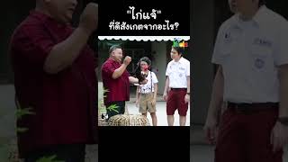 "ไก่แจ้" ที่ดี ดูจากสิ่งนี้... #Shorts