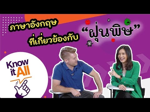 ฝุ่นพิษ หมอก ควัน ภาษาอังกฤษว่าอย่างไร ???