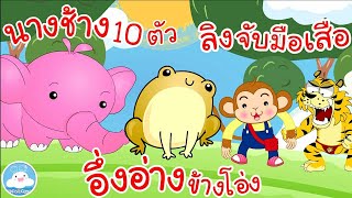 เพลงนางช้าง 10 ตัว เพลงอึ่งอ่างข้างโอ่ง เพลงลิงจับมือเสือ เพลงเด็กน้อยวัยอนุบาล @KidsOnCloud 