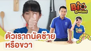 ตัวเราถนัดซ้ายหรือขวา | Bio O-YEAH!