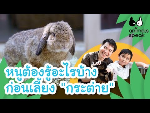 หนูต้องรู้อะไรบ้างก่อนเลี้ยง "กระต่าย" | Animals Speak [by Mahidol Kids]