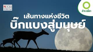การเดินทางของสิ่งมีชีวิต | สารคดี สำรวจโลก