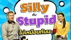 Silly กับ Stupid ไม่เหมือนกันนะ!!
