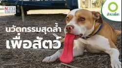 สิ่งประดิษฐ์สุดอัศจรรย์ ที่เกิดจากแรงบันดาลใจของสัตว์โลก | สารคดี สำรวจโลก