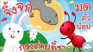 เพลงกระต่ายขี้เซา เพลงจิ้งจก เพลงมดตัวน้อย เพลงเด็กน้อยวัยอนุบาล @KidsOnCloud