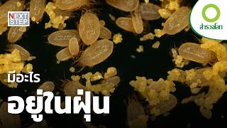 ฝุ่น สารก่อภูมิแพ้ และอนุภาคอันตรายถึงชีวิต | สารคดี สำรวจโลก