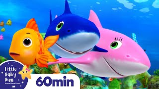 Baby Shark Song +More Nursery Rhymes and Kids Songs | Little Baby Bum