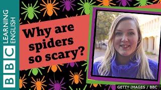 Hello from London! Why are spiders so scary?