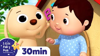 BINGO | +More Nursery Rhymes & Kids Songs | ABCs and 123s | Little Baby Bum