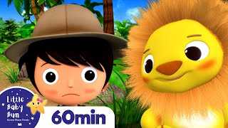 Going For A Lion Hunt +More Nursery Rhymes and Kids Songs | Little Baby Bum