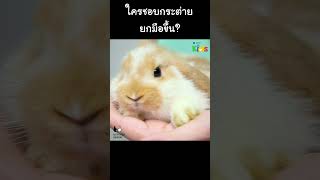 ใครชอบกระต่าย ยกมือขึ้น? #Shorts