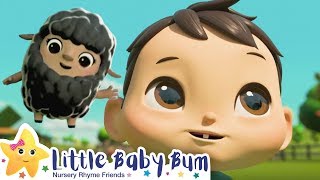 Baa Baa Black Sheep Song | + More Nursery Rhyme & Kids Song - ABCs and 123s | Little Baby Bum