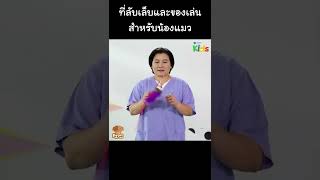 ที่ลับเล็บและของเล่น สำหรับน้องแมว #Shorts