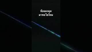 #doxzilla #สำรวจโลก #สารคดี #สารคดีสัตว์ #สารคดีสัตว์โลก