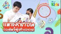 ? ส่องแพลงก์ตอน กองทัพจิ๋วผู้สร้างอากาศ ? | จิ๋วส่องโลก