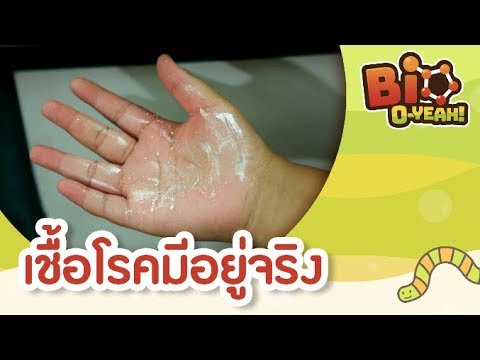 เชื้อโรคมีอยู่จริง | Bio O-YEAH! [by Mahidol Kids]