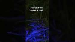 #สำรวจโลก #doxzilla #สารคดี #นิติวิทยาศาสตร์