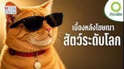 ความลับหลังกล้อง! เมื่อสัตว์กลายเป็นซูเปอร์สตาร์โฆษณา | สารคดี สำรวจโลก ความลับของสัตว์นักแสดง