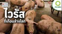 ไวรัสมรณะ จากป่าที่เกือบทำให้โลกหยุดหมุน | สารคดี สำรวจโลก ตอน โรคร้ายที่ซ่อนอยู่ในธรรมชาติ